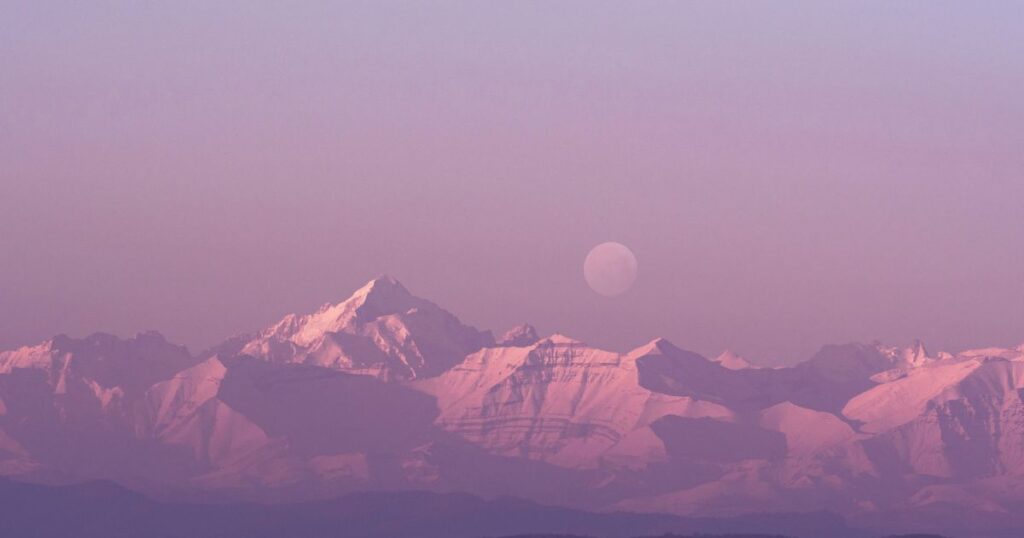 Neve rosa